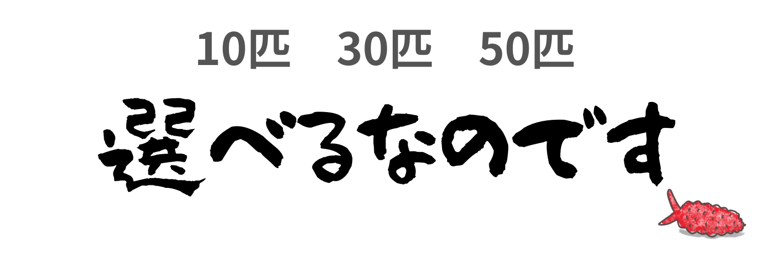 アカイボトビムシ 